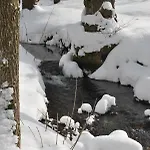 U Potoka - Chatička č1 - Orlické Hory, Wellness Pobyty, Sud, Sauna, Masáže Chalet *