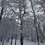 U Potoka - Chaticka C1 - Orlicke Hory, Wellness Pobyty, Sud, Sauna, Masaze Olesnice v Orlickych horach