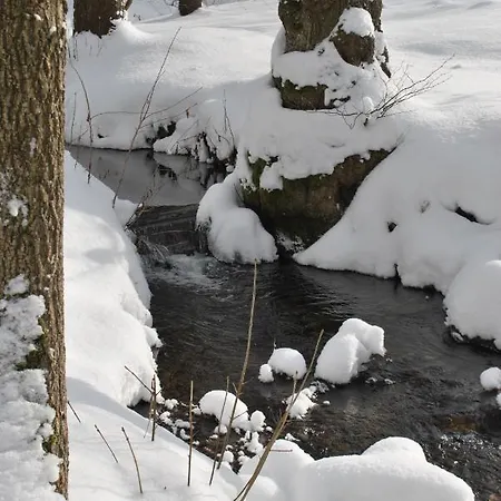U Potoka - Chaticka C1 - Orlicke Hory, Wellness Pobyty, Sud, Sauna, Masaze Alpesi faház *
