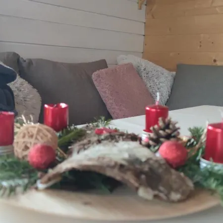 U Potoka - Chaticka C1 - Orlicke Hory, Wellness Pobyty, Sud, Sauna, Masaze Alpesi faház *