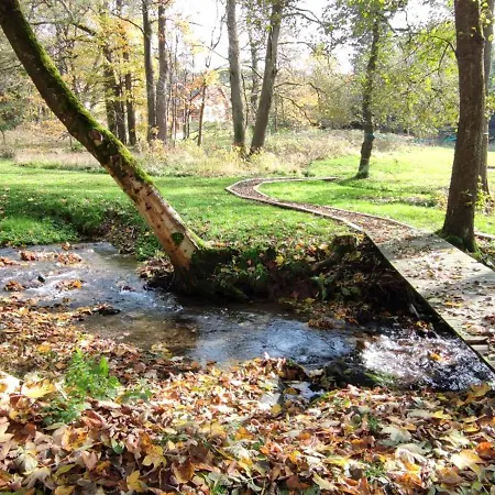 シャレー Chatky U Potoka - Chaticka C1 - Orlicke Hory, Wellness Pobyty, Sud, Sauna, Masaze Olešnice v Orlických horách