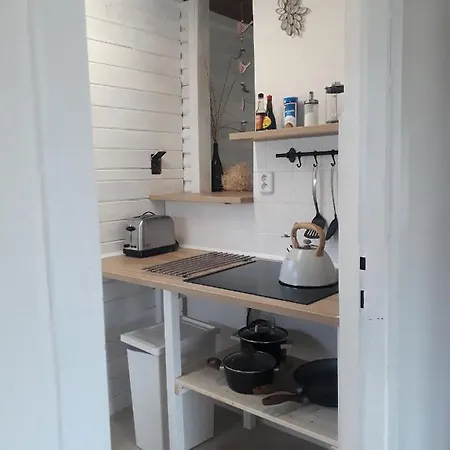 U Potoka - Chaticka C1 - Orlicke Hory, Wellness Pobyty, Sud, Sauna, Masaze Alpesi faház