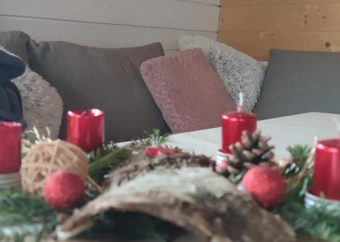 Chatky U Potoka - Chaticka C1 - Orlicke Hory, Wellness Pobyty, Sud, Sauna, Masaze Alpstuga *