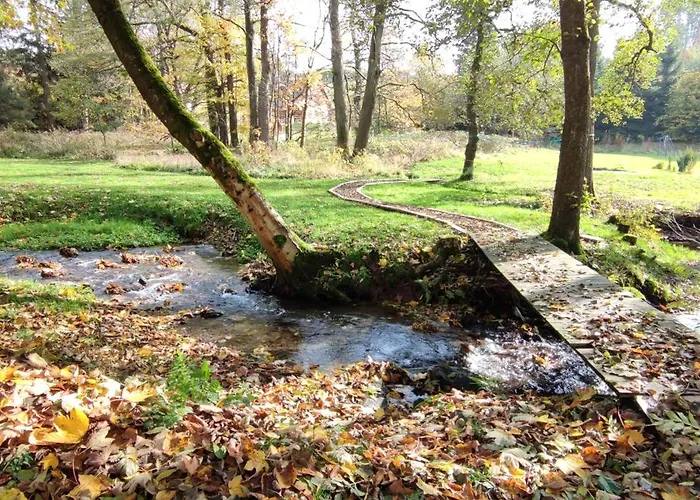 シャレー Chatky U Potoka - Chaticka C1 - Orlicke Hory, Wellness Pobyty, Sud, Sauna, Masaze Olešnice v Orlických horách