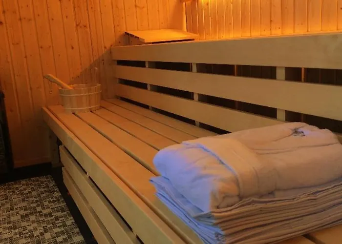 シャレー Chatky U Potoka - Chaticka C1 - Orlicke Hory, Wellness Pobyty, Sud, Sauna, Masaze *